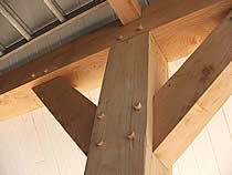staander van douglas met pen-gatverbinding